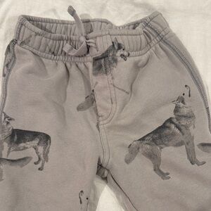 Tea Collection Wolf Print Gray Kids Sweatpants